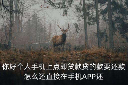 你好個(gè)人手機(jī)上點(diǎn)即貸款貸的款要還款怎么還直接在手機(jī)APP還