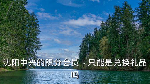 沈陽中興的積分會員卡只能是兌換禮品嗎