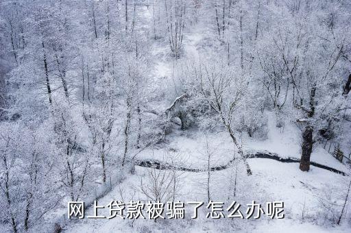 網(wǎng)上貨款被騙怎么辦，網(wǎng)上貸款被騙了怎么辦呢