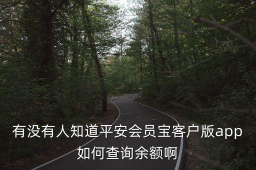 有沒(méi)有人知道平安會(huì)員寶客戶版app如何查詢余額啊