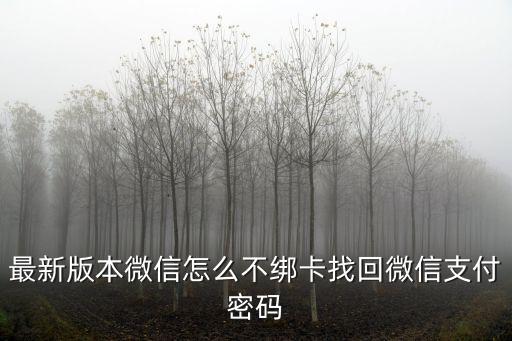 最新版本微信怎么不綁卡找回微信支付密碼
