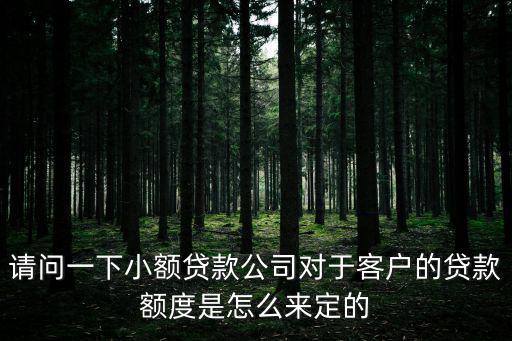 網(wǎng)易小貸的額度怎么給，請問一下小額貸款公司對于客戶的貸款額度是怎么來定的