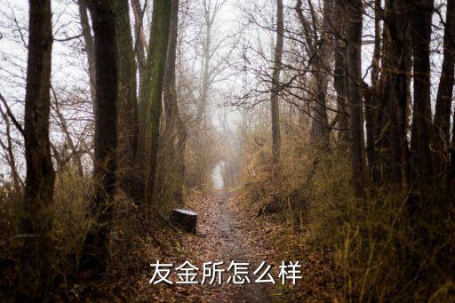 友金財(cái)富怎么樣，友融財(cái)富現(xiàn)狀如何