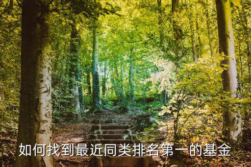 基金同類(lèi)排名怎么寫(xiě)，如何找到最近同類(lèi)排名第一的基金