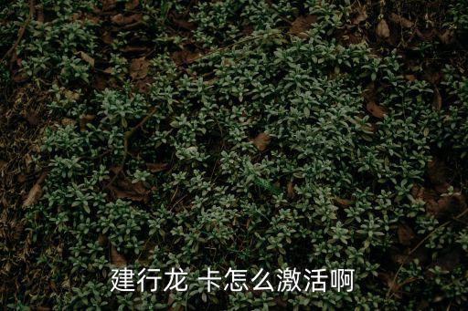 信用卡龍卡怎么激活，建行龍卡信用卡寄到后如何激活