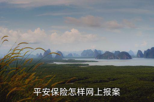 平安保險(xiǎn)怎樣網(wǎng)上報(bào)案