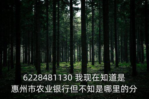 農(nóng)業(yè)銀行查支行怎么查，怎樣查詢農(nóng)業(yè)銀行卡的開戶行