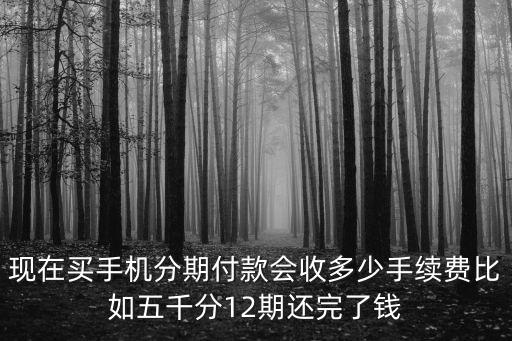 手機(jī)分期手續(xù)費怎么算，現(xiàn)在買手機(jī)分期付款會收多少手續(xù)費比如五千分12期還完了錢