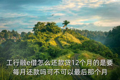 工行融e借怎么還款貸12個(gè)月的是要每月還款嗎可不可以最后那個(gè)月