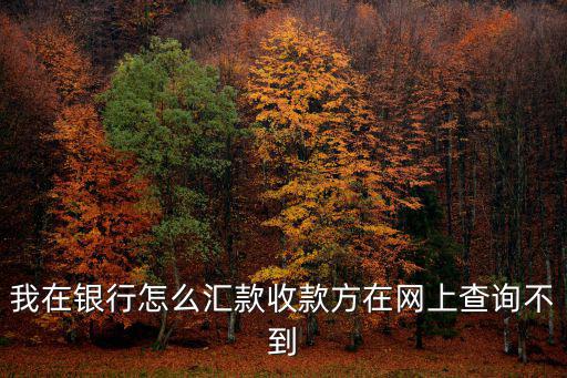 我在銀行怎么匯款收款方在網(wǎng)上查詢不到