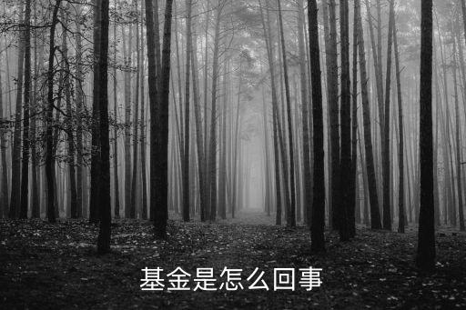 基金是怎么回事
