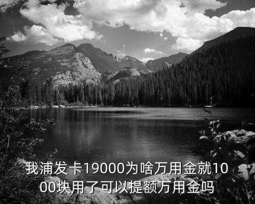 我浦發(fā)卡19000為啥萬用金就1000塊用了可以提額萬用金嗎