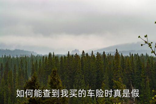 如何能查到我買的車險時真是假