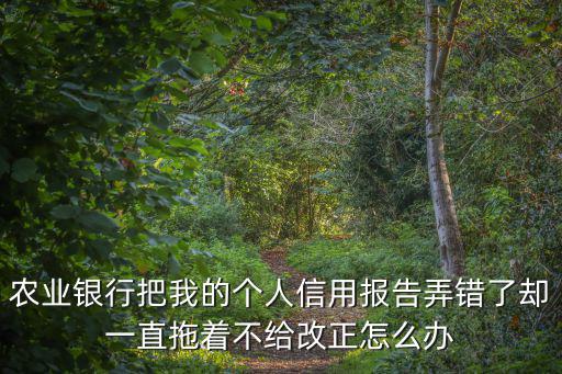 農(nóng)業(yè)銀行把我的個(gè)人信用報(bào)告弄錯(cuò)了卻一直拖著不給改正怎么辦