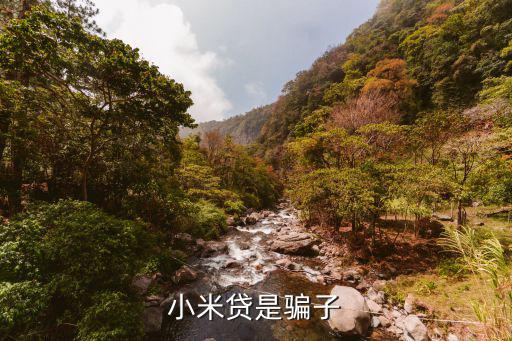 小米金融貸款怎么沒了，正常使用小米金融貸突然就不能使用了是怎么回事