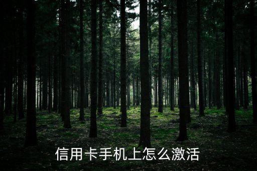 網(wǎng)上辦理的信用卡怎么激活，網(wǎng)上申請的中國銀行信用卡怎么在網(wǎng)上激活