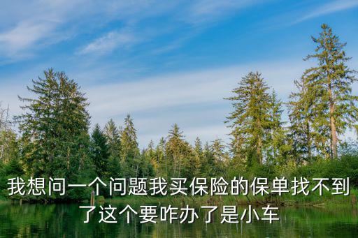 報(bào)保險(xiǎn)保單丟了怎么辦，車險(xiǎn)保單弄丟了怎么辦