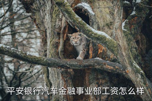汽車金融行業(yè)人怎么樣，二三四五在汽車金融這塊發(fā)展怎么樣