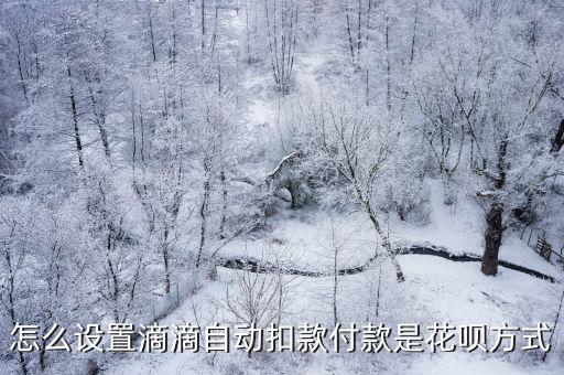 怎么設(shè)置滴滴自動扣款付款是花唄方式