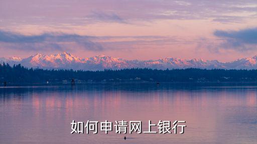 怎么注冊(cè)柳州銀行手機(jī)，柳州銀行如何網(wǎng)上申請(qǐng)網(wǎng)銀