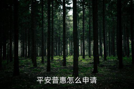 平安普惠貸款怎么審核，向平安銀行貸款怎么容易通過審核