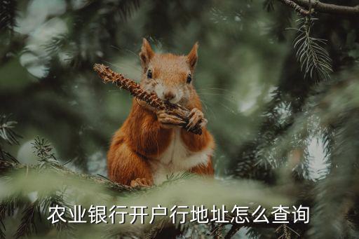 農(nóng)業(yè)銀行開戶行地址怎么查詢
