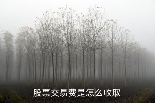 網(wǎng)上買股票手續(xù)費(fèi)怎么算，股票交易費(fèi)是怎么收取