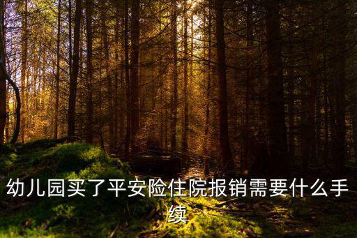 幼兒園買了平安險(xiǎn)住院報(bào)銷需要什么手續(xù)