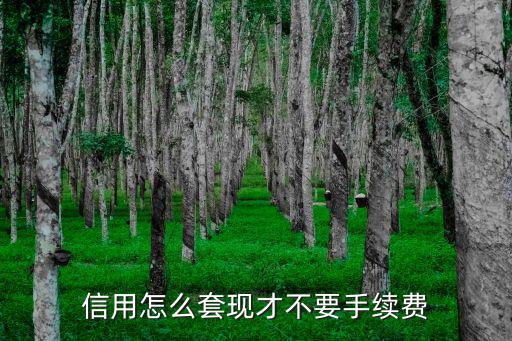 信用怎么套現(xiàn)才不要手續(xù)費(fèi)