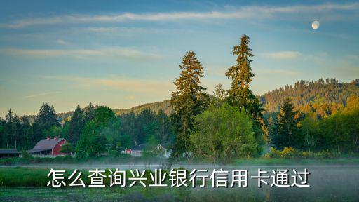 興業(yè)批卡怎么查額度，興業(yè)銀行客服電話可以查詢今天所打到卡的金額嗎