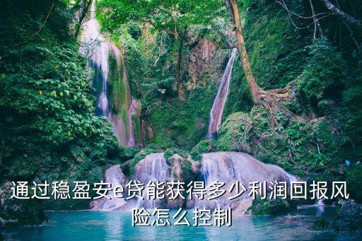 通過穩(wěn)盈安e貸能獲得多少利潤回報風(fēng)險怎么控制