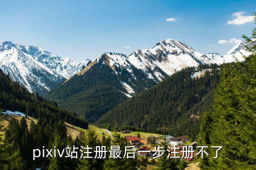 平安普惠怎么注冊(cè)不了，picsart我想注冊(cè)一個(gè)號(hào)注冊(cè)不了不知道為什么