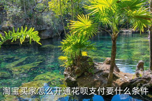 淘寶買家怎么開通花唄支付要什么條件