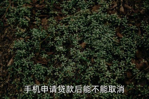 手機(jī)申請貸款后能不能取消