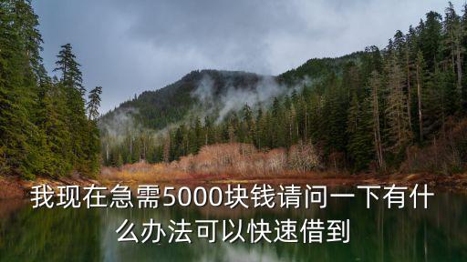 我現(xiàn)在急需5000塊錢請問一下有什么辦法可以快速借到