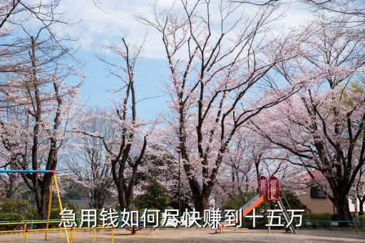 急用錢如何盡快賺到十五萬