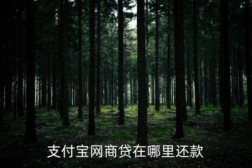 網(wǎng)商貸怎么還錢，想提前還款當月的網(wǎng)商貸欠款怎么還