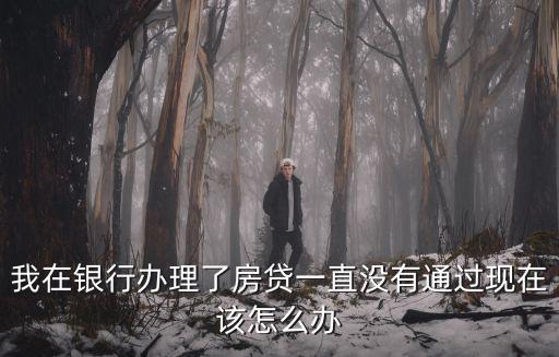 我在銀行辦理了房貸一直沒有通過現(xiàn)在該怎么辦