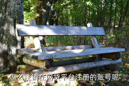 網(wǎng)貸帳號(hào)怎么注銷，怎么注銷在網(wǎng)貸平臺(tái)注冊(cè)的賬號(hào)呢