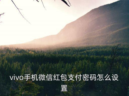 微信紅包怎么設(shè)置免密，vivo手機(jī)微信紅包支付密碼怎么設(shè)置