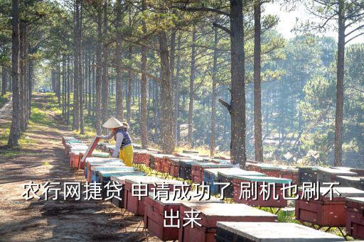 網(wǎng)捷貸怎么刷出來，農(nóng)行網(wǎng)捷貸 申請(qǐng)成功了 刷機(jī)也刷不出來