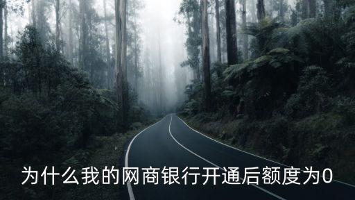 為什么我的網(wǎng)商銀行開(kāi)通后額度為0