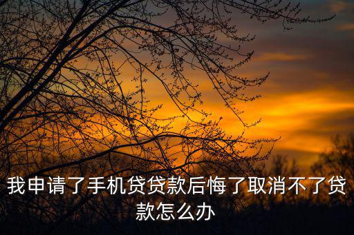 我申請了手機(jī)貸貸款后悔了取消不了貸款怎么辦