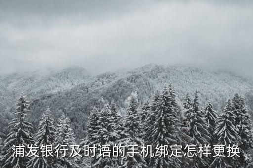 浦發(fā)銀行及時語的手機綁定怎樣更換