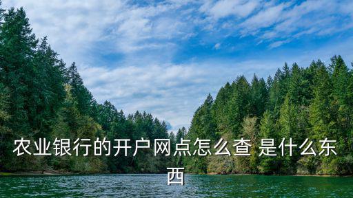 農(nóng)業(yè)銀行的開戶網(wǎng)點怎么查 是什么東西