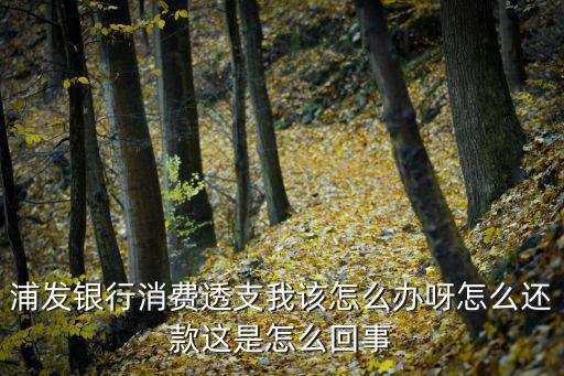 浦發(fā)銀行消費(fèi)透支我該怎么辦呀怎么還款這是怎么回事