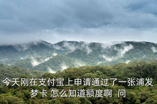 今天剛在支付寶上申請通過了一張浦發(fā)夢卡 怎么知道額度啊  問