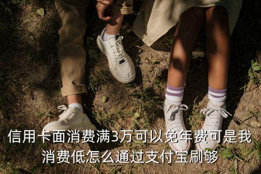 信用卡面消費滿3萬可以免年費可是我消費低怎么通過支付寶刷夠
