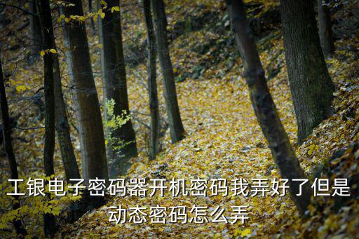 工銀電子密碼器開機(jī)密碼我弄好了但是動(dòng)態(tài)密碼怎么弄