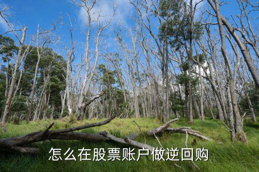 怎么在股票賬戶做逆回購